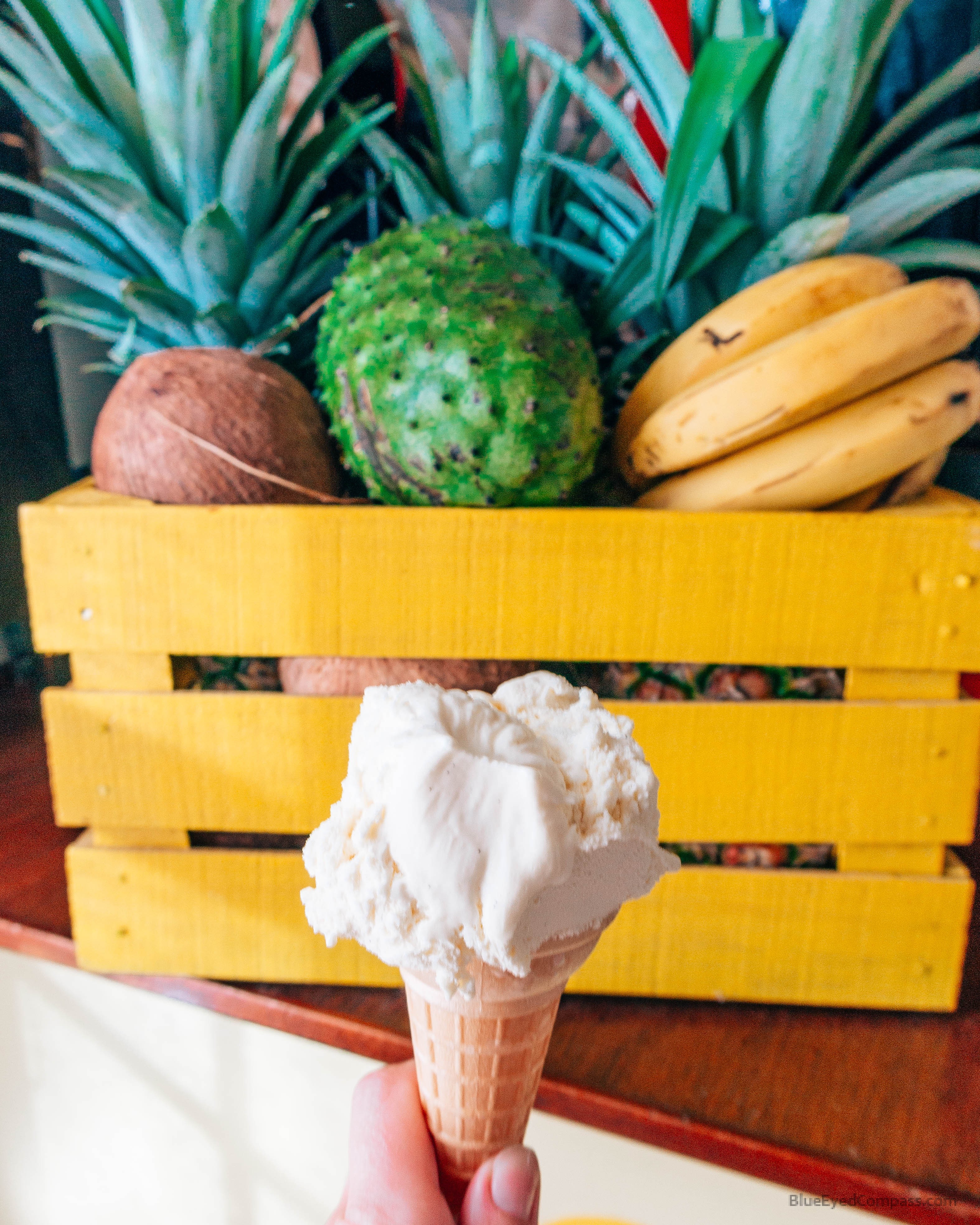 Top 9 things to do in Placencia, Belize Blue Eyed Compass