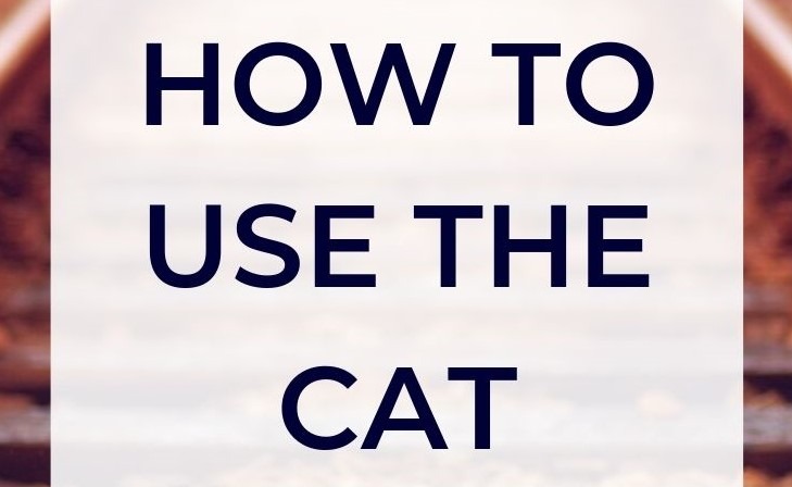 How to use the CAT in Vienna