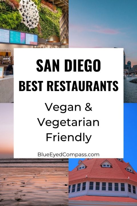 Vegan Friendly Restaurants in San Diego – Blue Eyed Compass