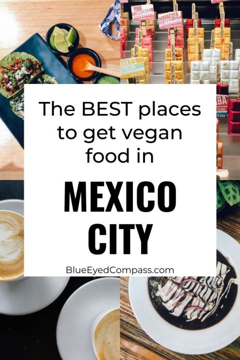 Vegan Food in Mexico City – Blue Eyed Compass