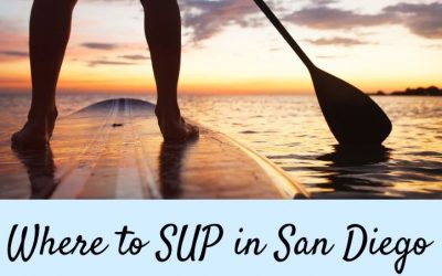 Places to Stand up Paddle Board in San Diego