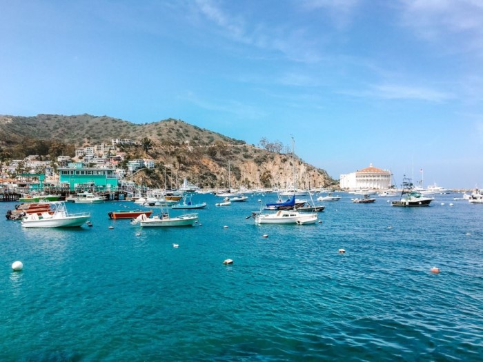 Catalina Island | Day Trips from San Diego