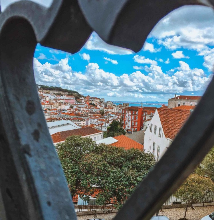 view from Miradouro de São Pedro de Alcântara in Lisbon (2)