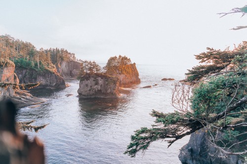 Cape Flattery Trail view at sunset, Olympic National Park Washington, Blue Eyed Compass