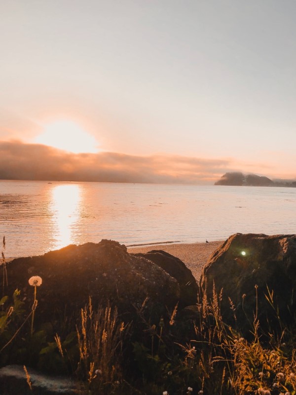 Clallam Bay, Olympic Peninsula, Blue Eyed Compass