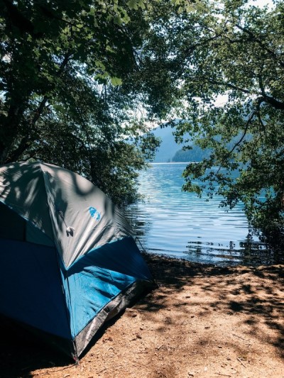 Fairholme Campground at Lake Crescent, Olympic Peninsula, Blue Eyed Compass