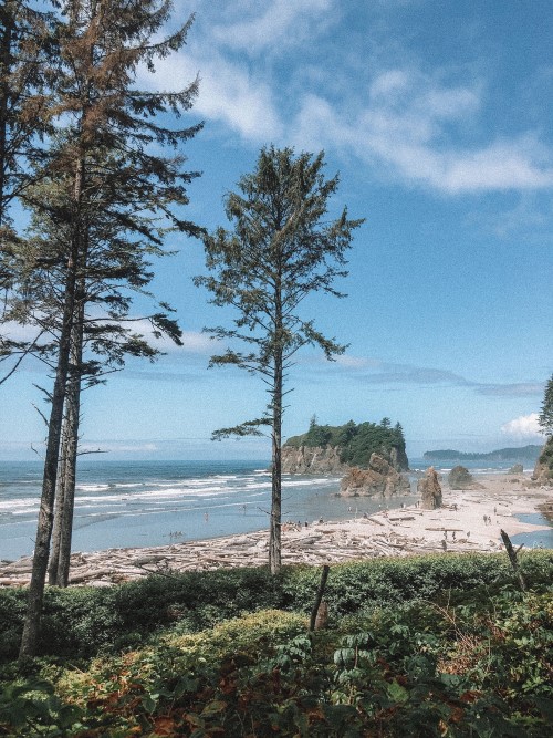 Ruby Beach, Olympic Peninsula, Blue Eyed Compass