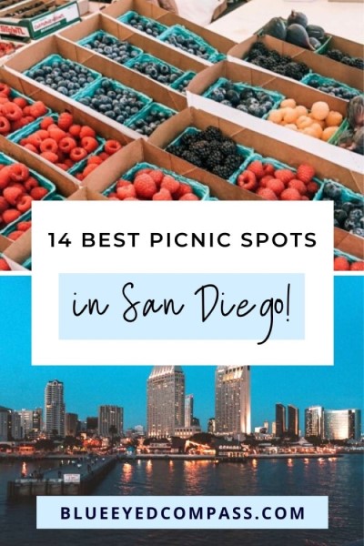 top picnic spots in San Diego, Blue Eyed Compass 1