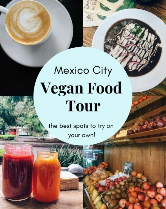 Vegan Food in Mexico City